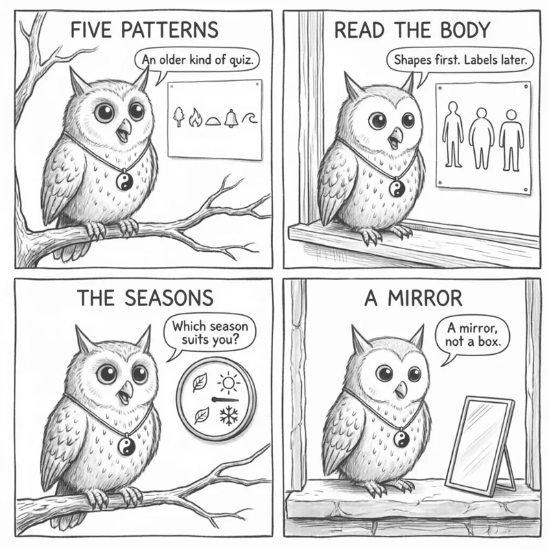 Ollie the screech owl and the five-pattern map: five phase symbols, three body builds, a seasonal dial, and a mirror, in four panels